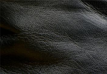 Vintage black horsehide leather Pegasus Jackets